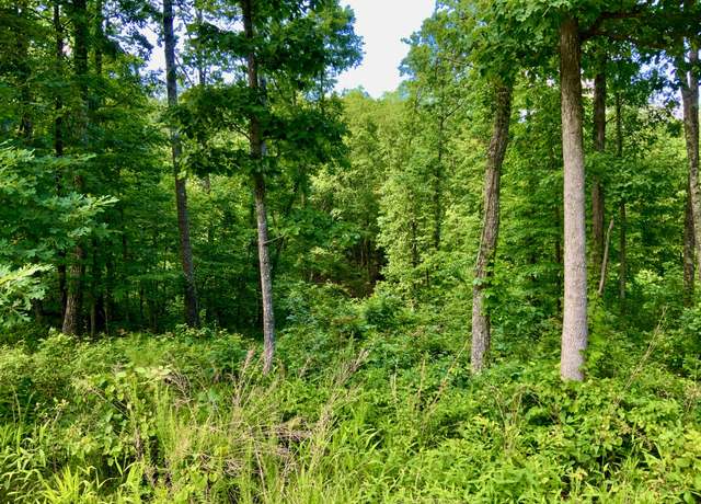 Property at 0 Bear Hollow Dr, Waverly, TN 37185