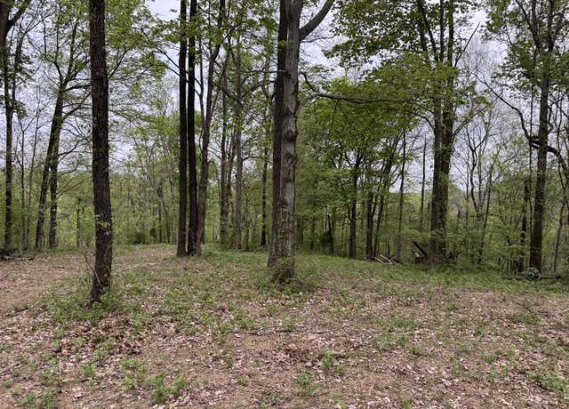 Property at 1331 Rock Bridge Rd, Bethpage, TN 37022