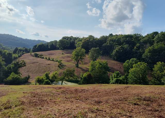 Property at 0 Hurricane Creek Rd, Woodbury, TN 37190