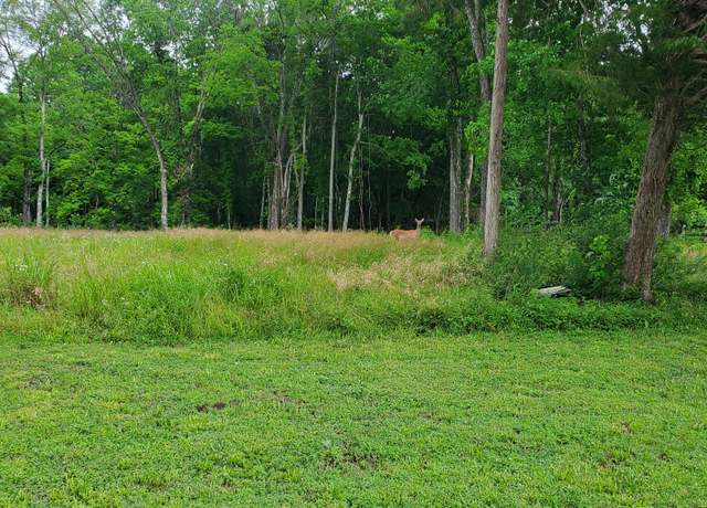 Property at 1852 Soules Chapel Rd N, Cunningham, TN 37052