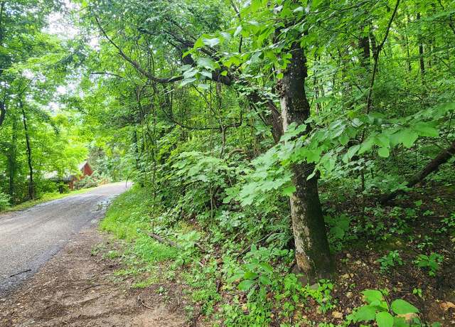 Property at 0 Hurricane Dr, Smithville, TN 37166