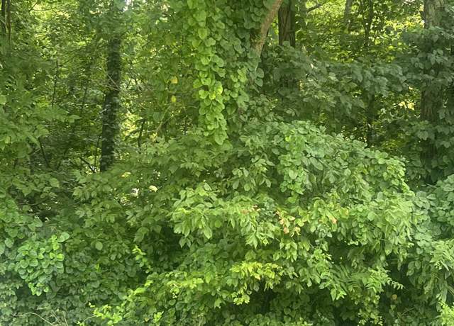 Property at 0 Needmore Dr, Old Hickory, TN 37138