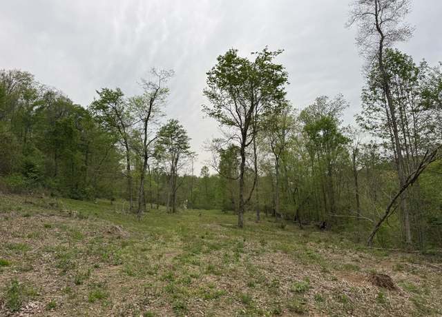 Property at 1323 Rock Bridge Rd, Bethpage, TN 37022
