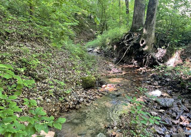 Property at 0 Swindle Creek Rd, Linden, TN 37096