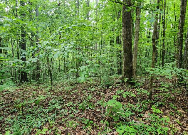Property at 0 Poplar Pl, Smithville, TN 37166