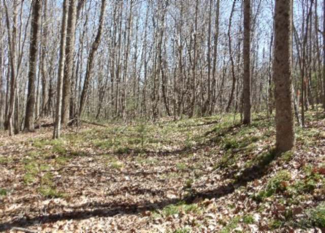 Property at 391 Ridge Rd, Lancing, TN 37770