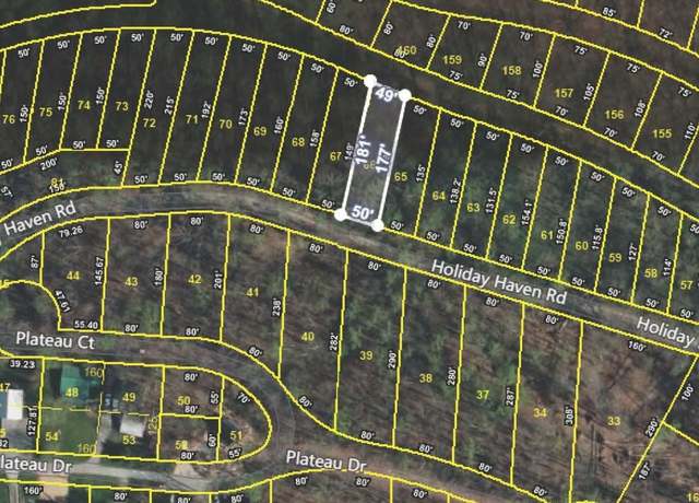 Property at 0 Holiday Haven Rd, Smithville, TN 37166