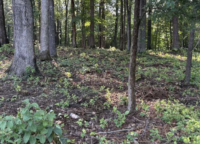 Property at 0 Iron Hill Rd, Burns, TN 37029