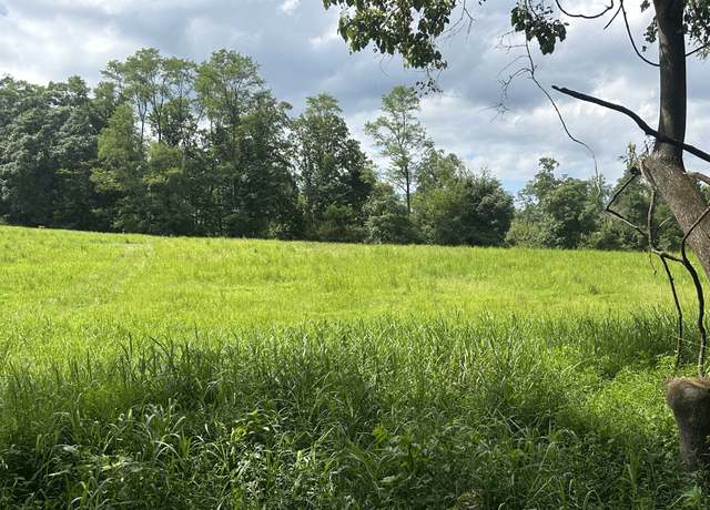 Property at 0 Annie Hollow Rd, Westmoreland, TN 37186