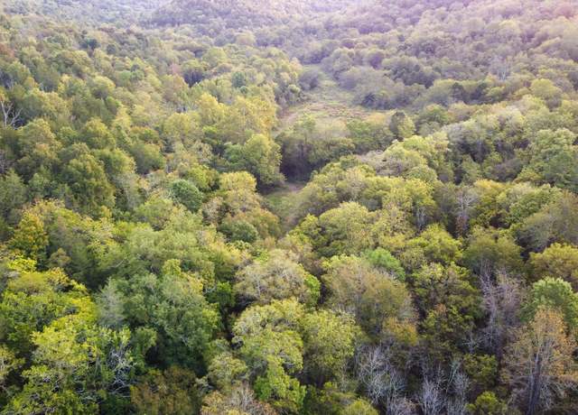 Property at 2 Mcburg Dellrose Rd, Dellrose, TN 38453