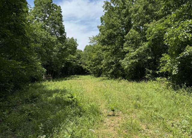 Property at 565 Lucas Ridge Ln, Waverly, TN 37185
