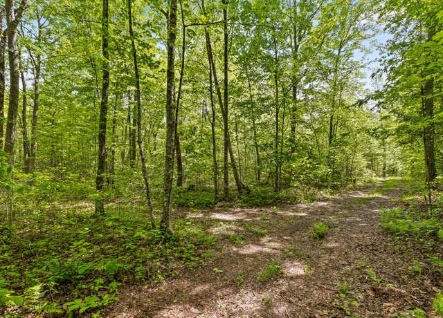 Property at 10 Acres Blaine Smith Rd, Graysville, TN 37338