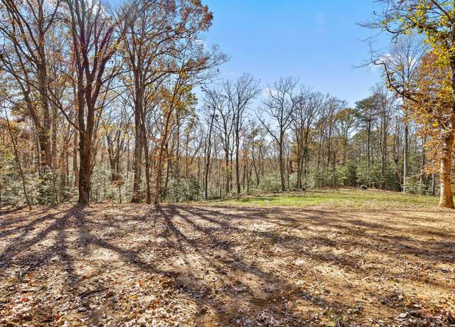 Property at 1813 Vandergriff Rd, Signal Mountain, TN 37377