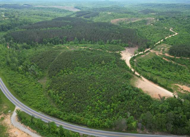 Property at 0 Hohenwald Hwy, Waynesboro, TN 38485