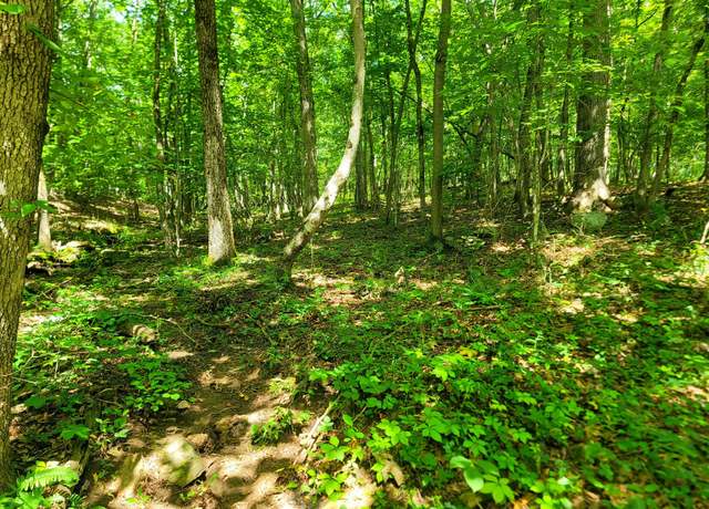 Property at 159 Sugarbush Cir, Crossville, TN 38558