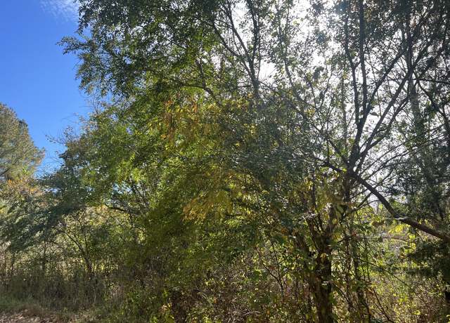 Property at 1 Clyde Webb, Tennessee Ridge, TN 37178