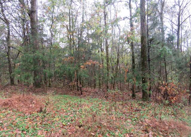 Property at 0 Hilltop Ln, Gainesboro, TN 38562
