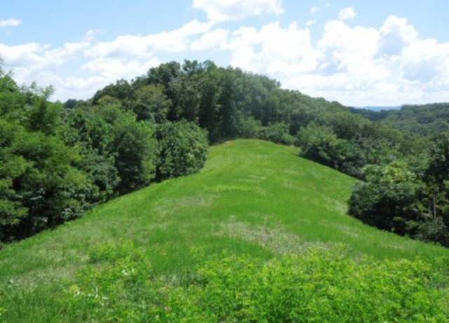 Property at 0 Turtle Rd, Hilham, TN 38568