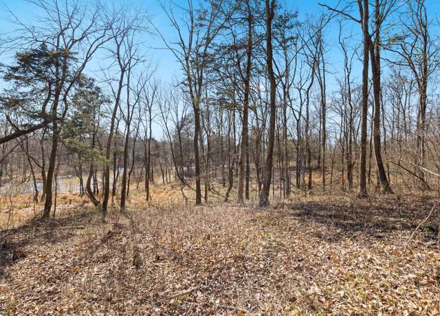 Property at 0 Chipman Rd, Bethpage, TN 37022