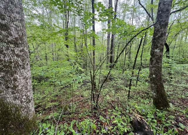 Property at 103 Bear Den Trl, Grandview, TN 37337