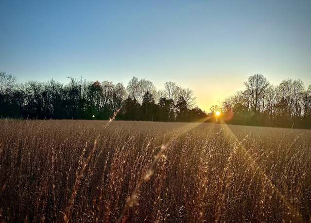 Property at 0 Owl Hollow Rd, Franklin, TN 37064