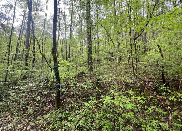 Property at 104 Bear Den Trl, Grandview, TN 37337