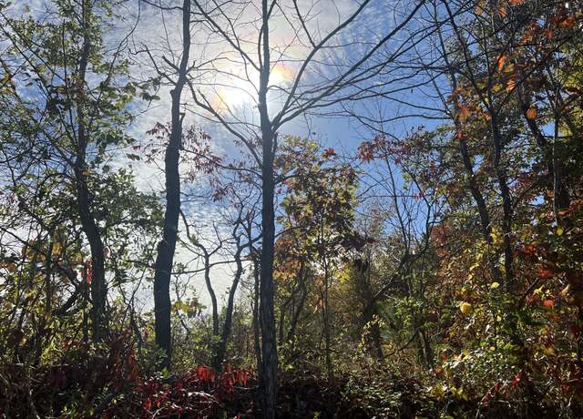 Property at 4 Clyde Webb, Tennessee Ridge, TN 37178