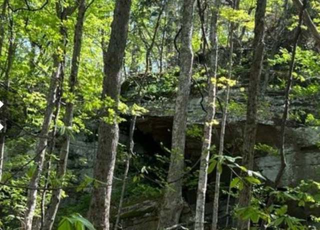 Property at 0 Sheep Bluff Rd, Cookeville, TN 38506