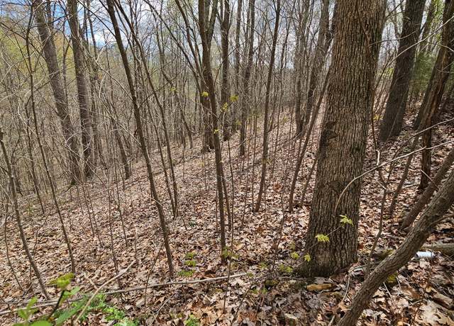 Property at 0 Drew Ct, Smithville, TN 37166
