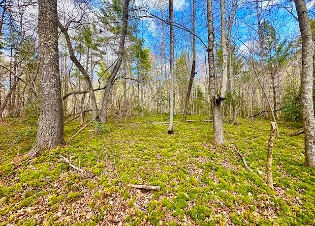 Property at 144 Gunter Place Rd, Sunbright, TN 37872