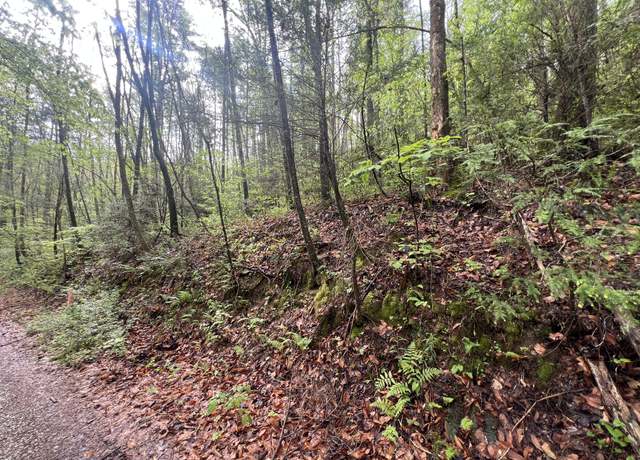 Property at 111 Bear Den Trl, Grandview, TN 37337
