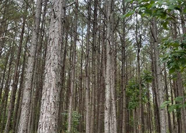 Property at 320 Liberty Ridge Rd, Hohenwald, TN 38462