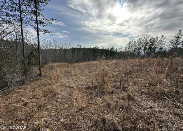 Property at 289 Center Ridge Dr, Linden, TN 37096