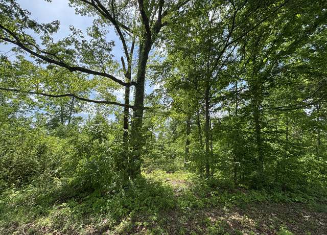 Property at 0 Joslin Branch Rd, White Bluff, TN 37187