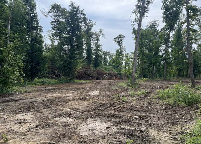 Property at 28 Annie Hollow Rd, Westmoreland, TN 37186