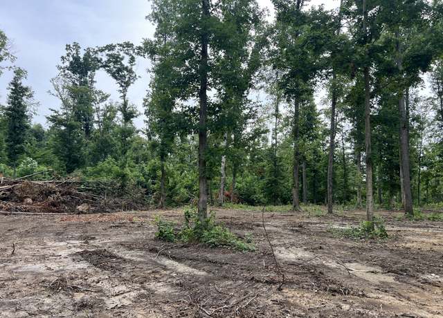 Property at 27 Annie Hollow Rd, Westmoreland, TN 37186