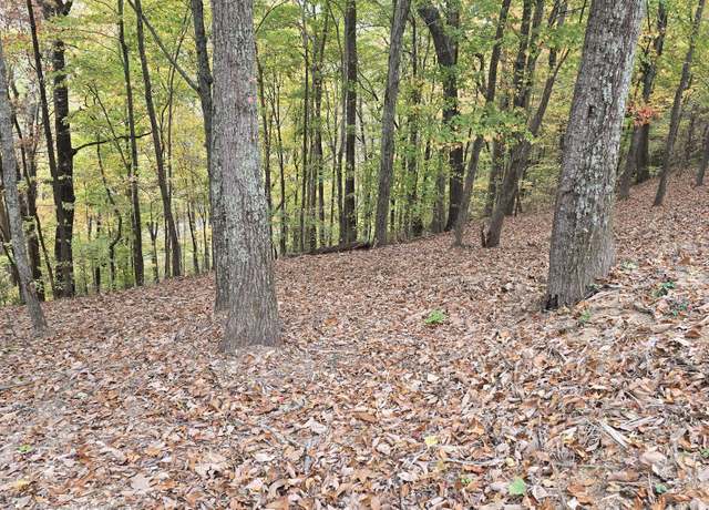 Property at 3 Savannah Dr, Smithville, TN 37166