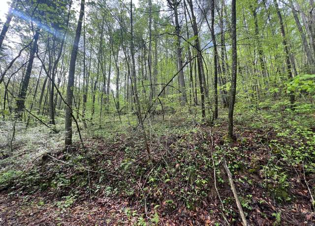 Property at 112 Bear Den Trl, Grandview, TN 37337