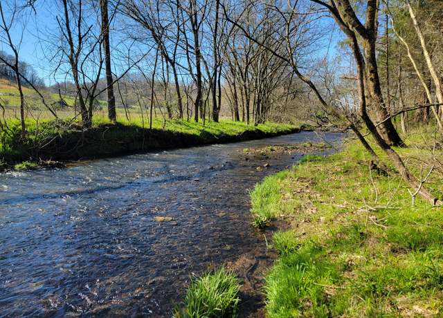 Property at 0 Campbellsville Pike, Lynnville, TN 38472