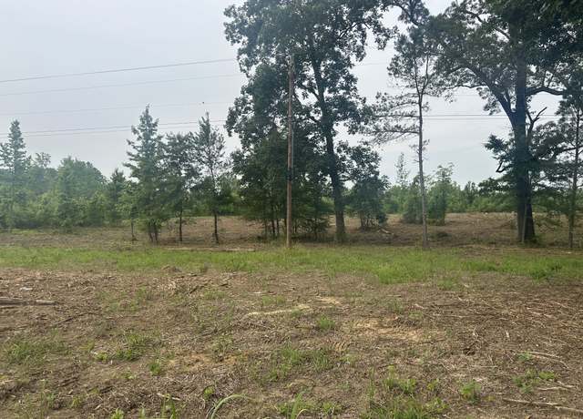 Property at 0 State Route 22 A, Enville, TN 38332