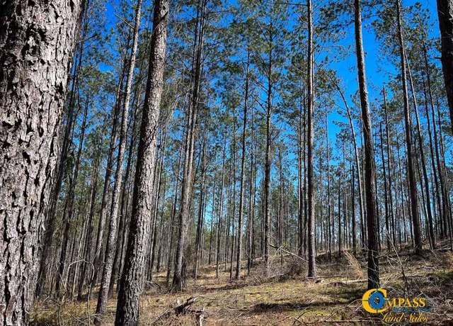 Property at 0 Tull Rd, Hornsby, TN 38044