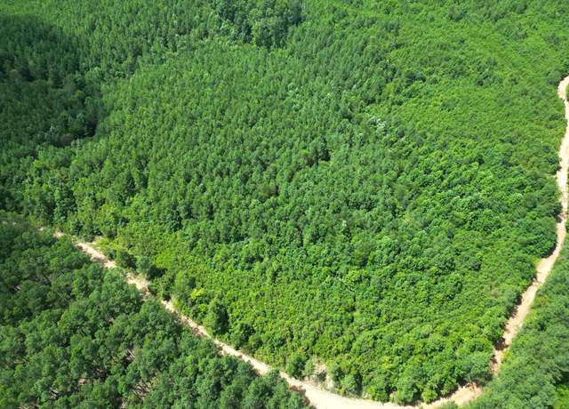 Property at 0 Liberty Ridge Rd, Hohenwald, TN 38462