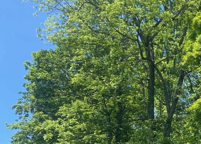 Property at 0 Adams, Charlotte, TN 37036