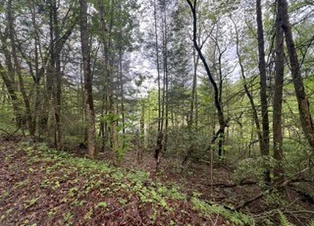 Property at 153 Bear Den Trl, Grandview, TN 37337