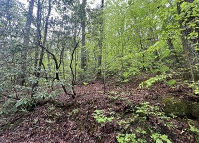 Property at 139 Bear Den Trl, Grandview, TN 37337