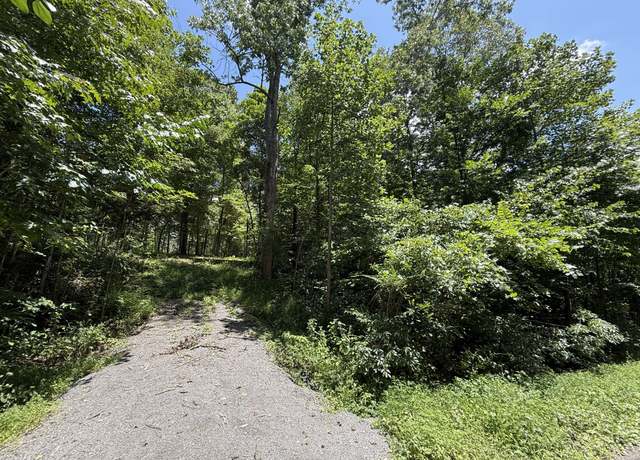 Property at 114 White Springs Rd, Lafayette, TN 37083