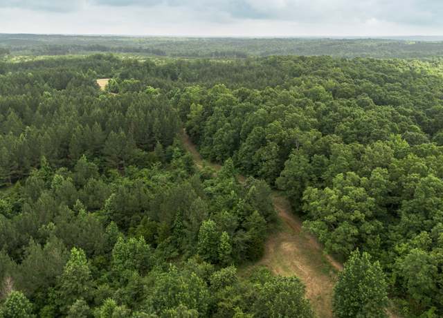 Property at 115 Baudy James Rd, Cedar Grove, TN 38321