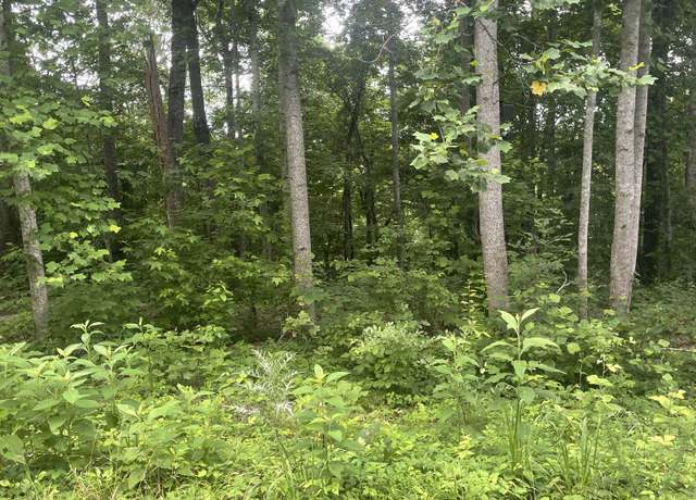 Property at 0 Simmons Ct, Ashland City, TN 37015