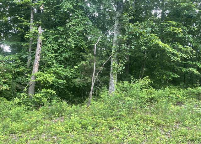 Property at 0 Simmons Rd, Ashland City, TN 37015