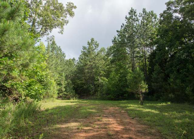 Property at 0 Pearson Rd, Cedar Grove, TN 38321